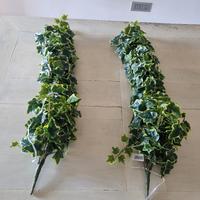 Ivy hanger variegata finta