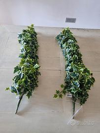 Ivy hanger variegata finta