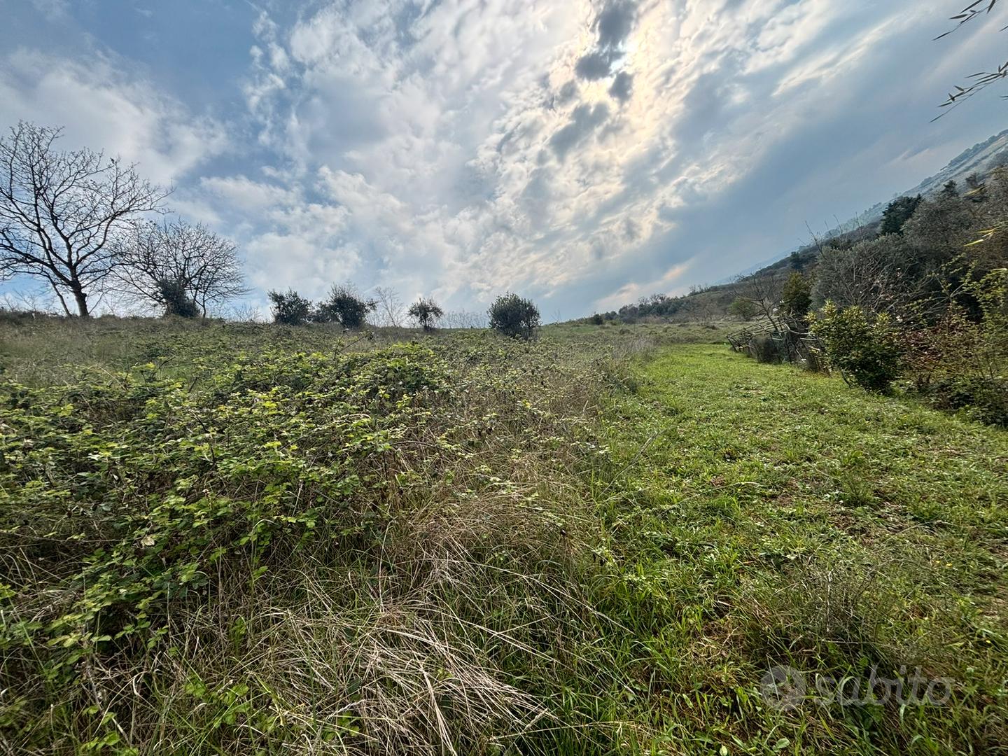 Terreno via prati - Vista 6
