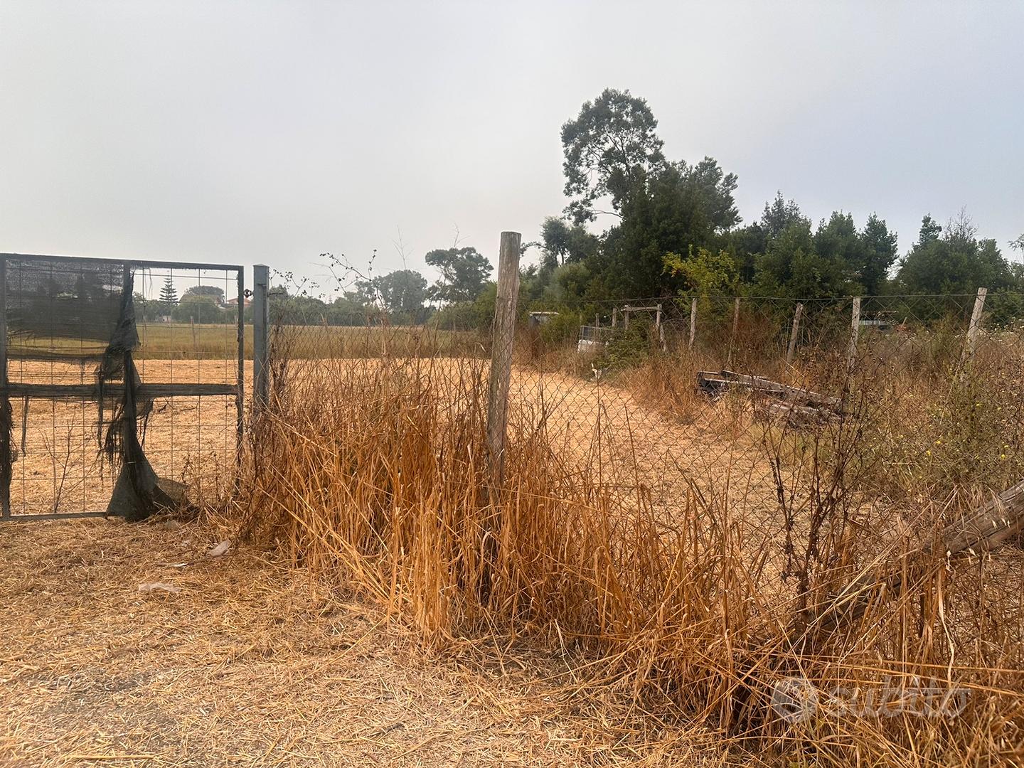 Terreno agricolo - Vista 4