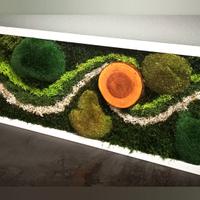 Quadro Vegetale muschio Stabilizzato e licheni