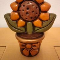 Vasetti con fiori Thun