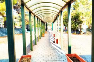 Struttura ricettiva NICOLOSI O13538