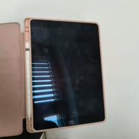 ipad pro 2017 256GB con apple pencil 1 generazione