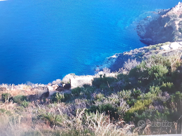 Dammuso vista mare