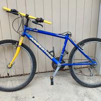 mountain-bike bambino