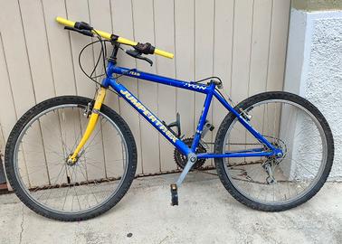 mountain-bike bambino