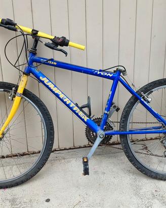 mountain-bike bambino