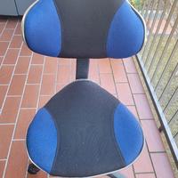 sedia a rotelle
