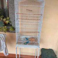 Gabbia uccellini