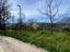 Immagine 27