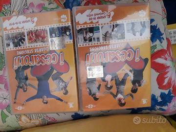 Dvd originali cesaroni