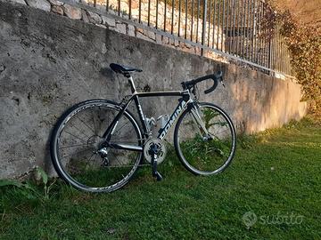Bici da Corsa Tg S in carbonio Domina Power