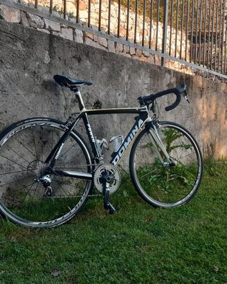 Bici da Corsa Tg S in carbonio Domina Power