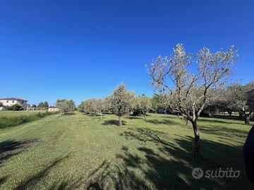 Rif. V825 Terreno agricolo attrezzato