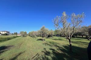 Rif. V825 Terreno agricolo attrezzato