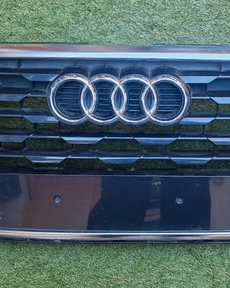 Calandra Originale Audi Q2 S-Line 2016-2021 Usata