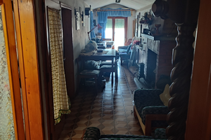 In comodato d uso privato cel 3204395176