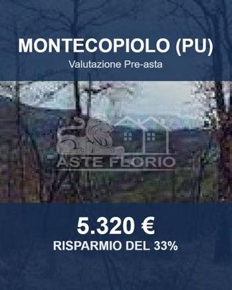 Immobile in asta di 26446 m² a Montecopiolo