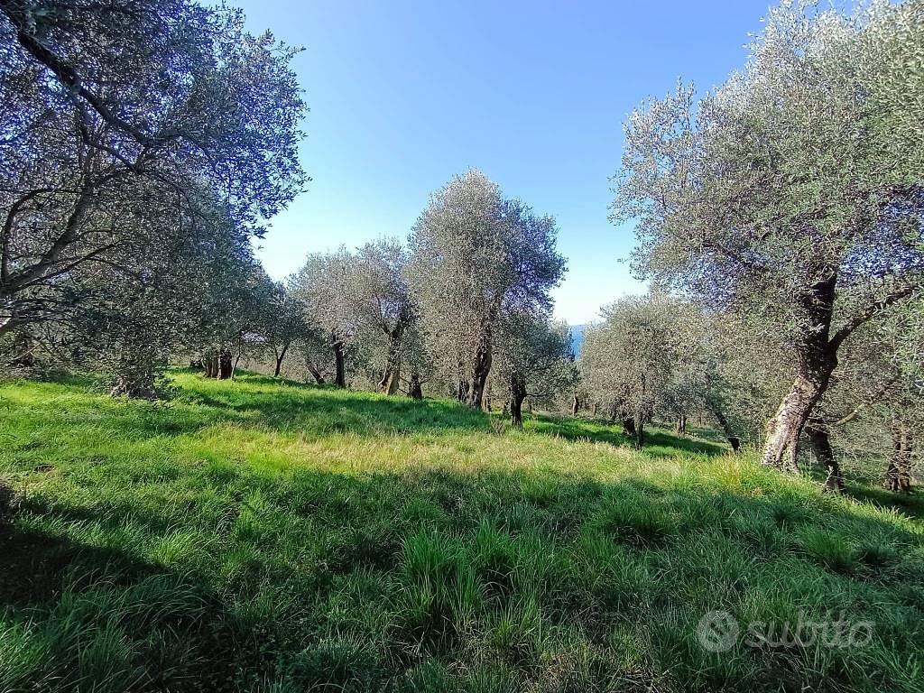 Terreno di 3627 m² a Torri del Benaco - Vista 3