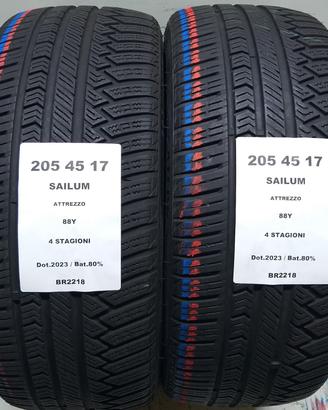 2 GOMME 205 45 17 SAILUM BR2218