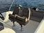 Immagine 9