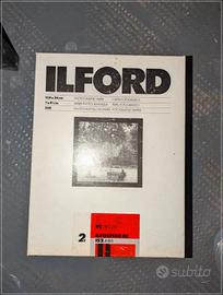 250 fogli - carta fotografica Ilford