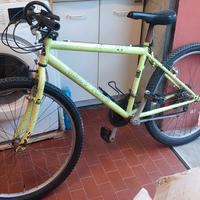 bicicletta 26