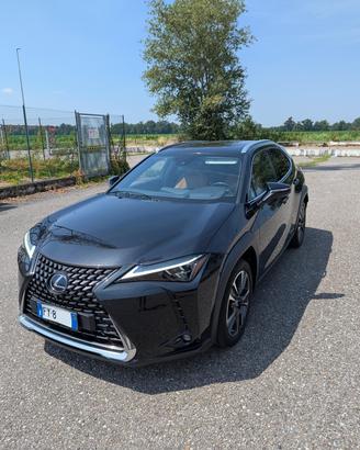 LEXUS UX 250h e-Four Hybrid Luxury