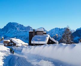 Vacanze sulla neve Falcade - Passo Valles