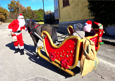 Slitta calesse in ferro