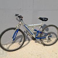 Biciclette ,citybike 