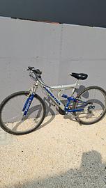 Biciclette ,citybike 