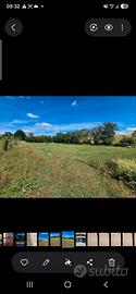 Terreno agricolo 