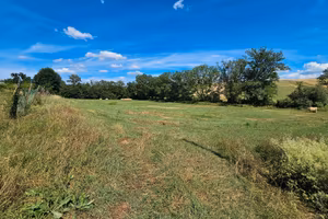Terreno agricolo 