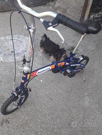 bici pieghevole  originale Honda repsol