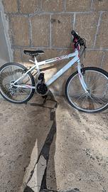 Bicicletta monviso itek 24