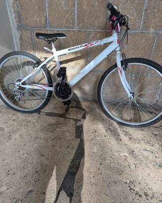 Bicicletta monviso itek 24