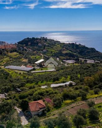 TER. RESIDENZIALE A IMPERIA