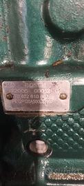 2 Pompe Gasolio 12 cilindri Doosan
