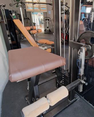 gluteus panatta 
