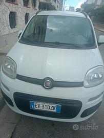 Panda metano 2014