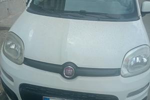 Panda metano 2014
