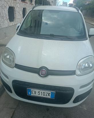 Panda metano 2014