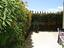 Immagine 13