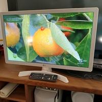 Tv LG 24  bianco Smart