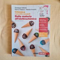 chimica dalla materia all'elettrochimica