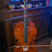 Violoncello 