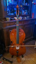 Violoncello 