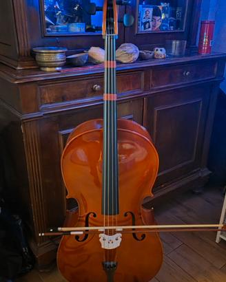 Violoncello 